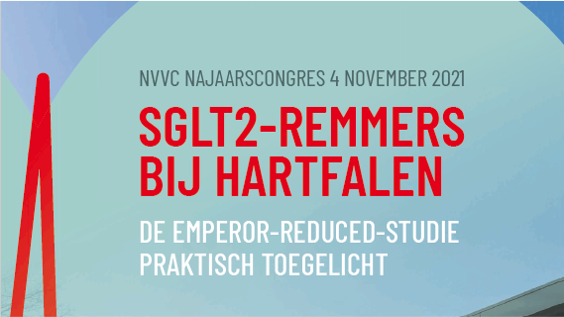 SGLT2-Remmers BIJ