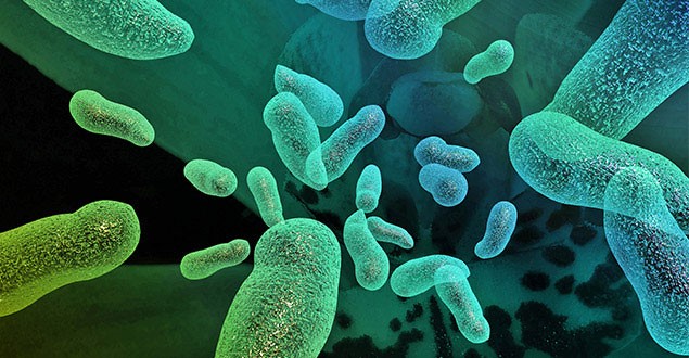 Urineweg- en genitale infecties