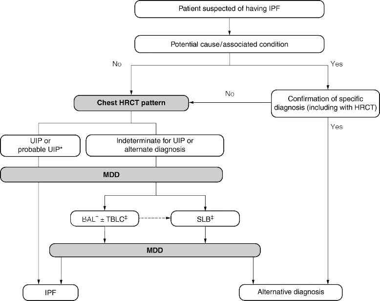 diagnostisch algoritme 