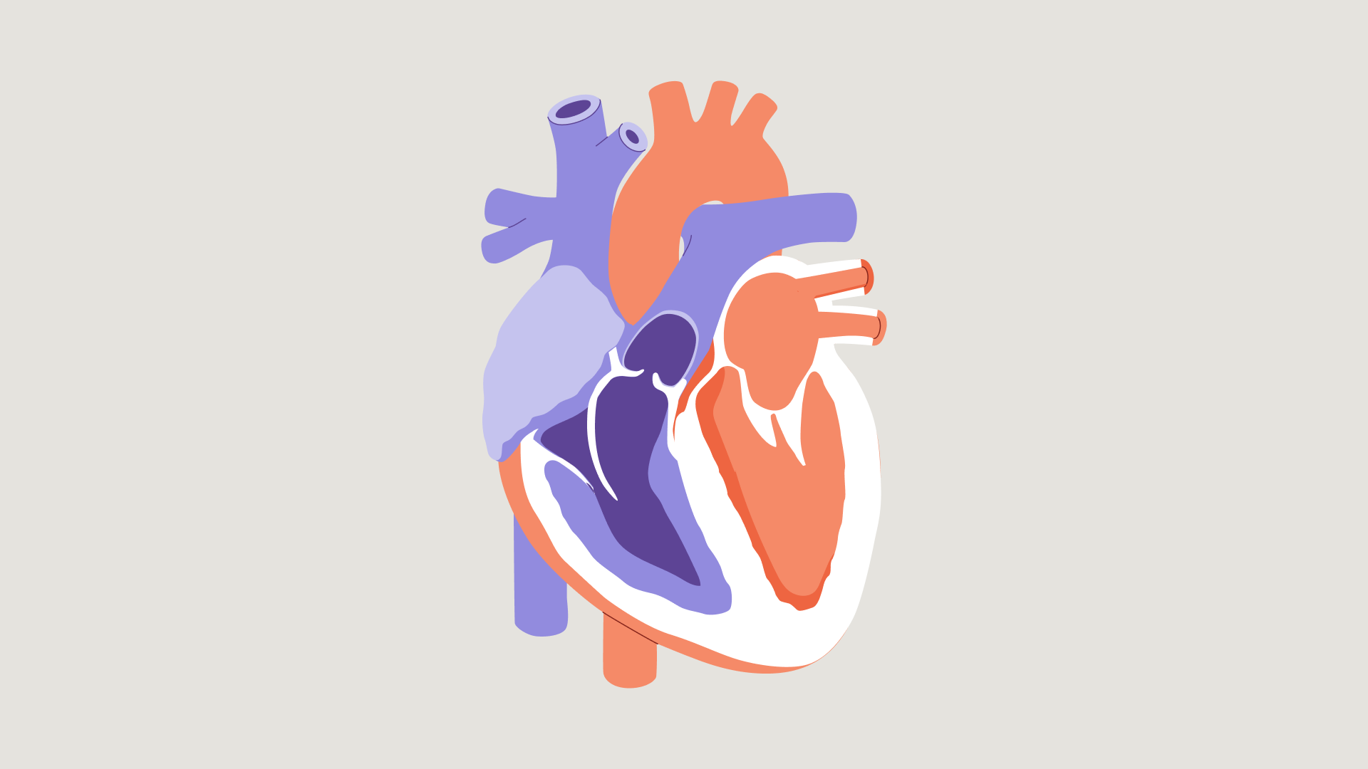 Wat is boezemfibrilleren